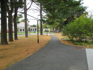 A campus pathway