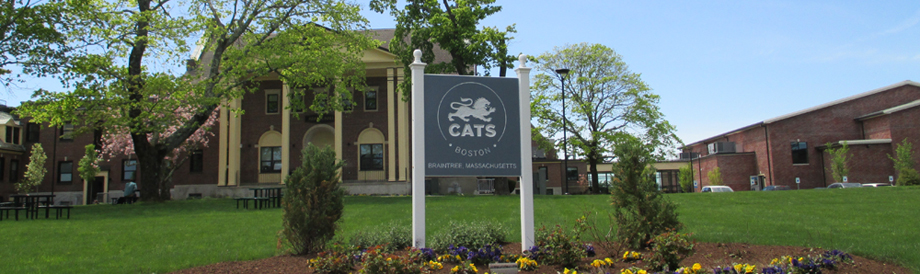 CATS Academy Boston added a new photo. - CATS Academy Boston